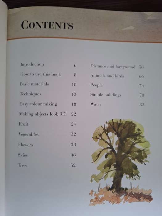 Collins - You Can Paint - Watercolour - A step-by-step guide for Absolute Beginners: Alwyn Crawshaw