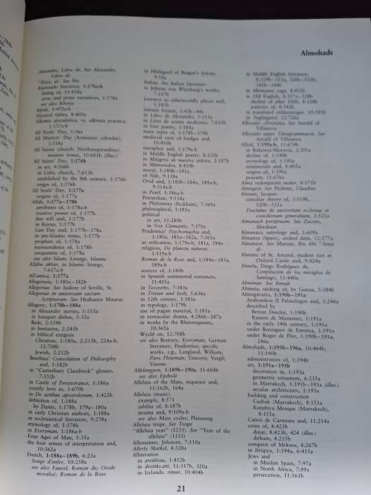 Dictionary of The Middle Ages - Volume 13  : Joseph R. Strayer (Hardcover)