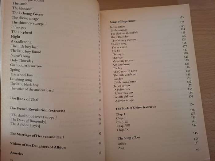 William Blake Selected Poetry and Prose Edited by David Punter  (Paperback)