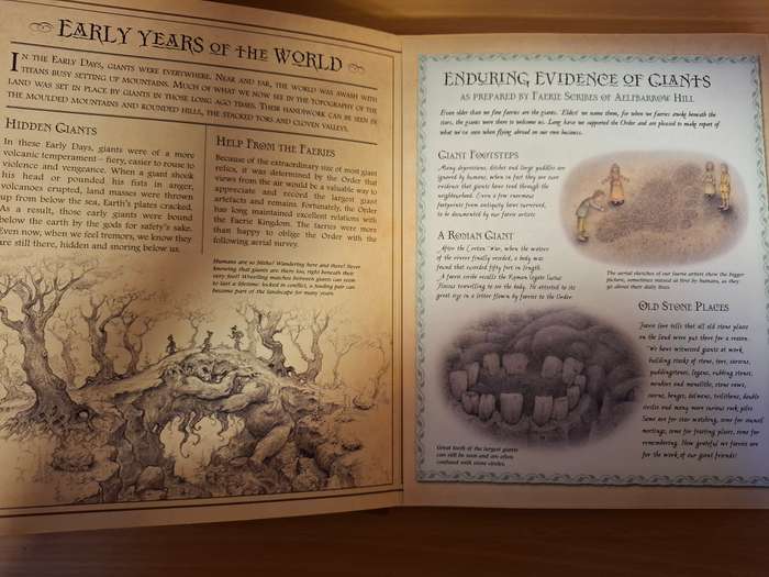 The Secret History of Giants: Or The Codex Giganticum : Ari Berk (Hardcover)