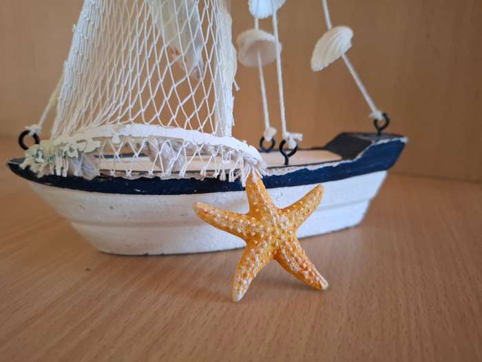 Small Blue & White Boat/Nautical Display with Shells - height 20cm width 15cm