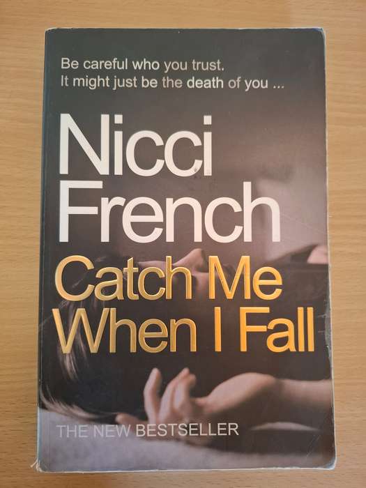 Catch Me When I Fall : Nicci French (Paperback)
