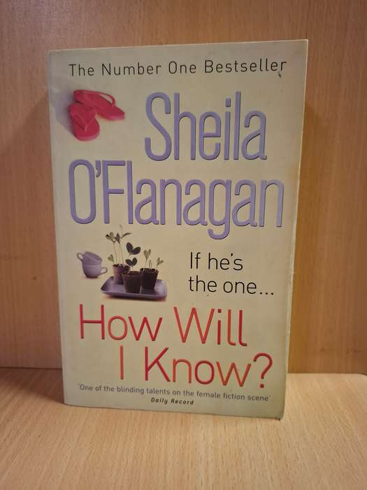 How Will I Know? : Sheila O`Flanagan (Paperback)