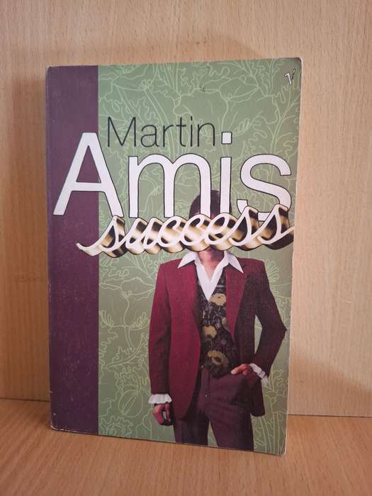 Success: Martin Amis (Paperback)