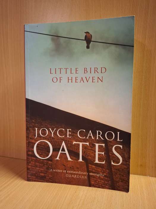 Little Bird of Heaven: Joyce Carol Oates (Paperback)