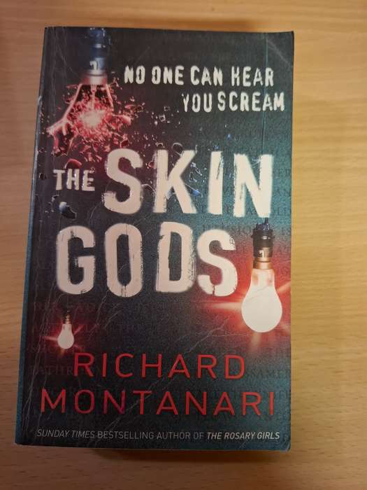 The Skin Gods: Richard Montanari  (Paperback)