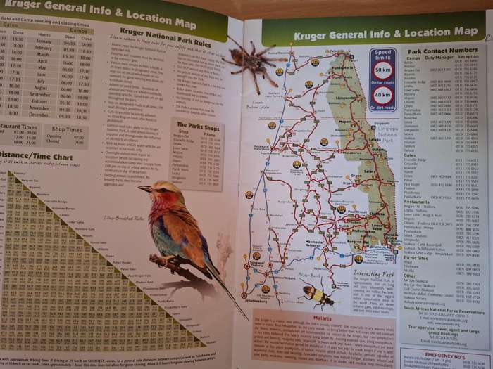 Kruger Park Map 2nd Edition - Mammal, Bird, Reptile Identification /Ecozones, Camp Layouts