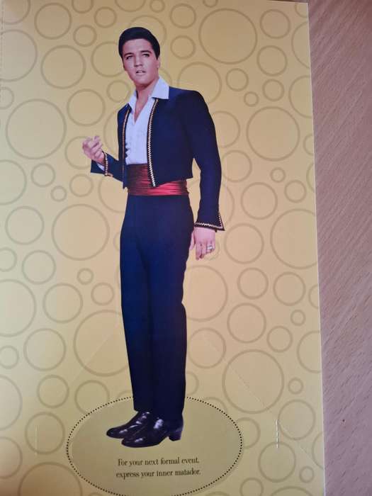 Elvis: Your Personal Fashion Consultant by Michael and Karan Feder
