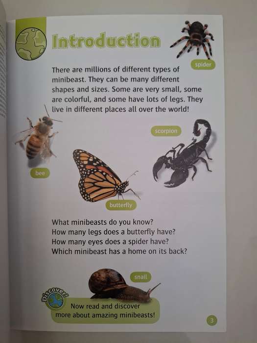 Oxford Read and Discover - Amazing Minibeasts  (Paperback)