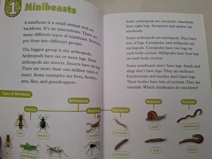 Oxford Read and Discover - Amazing Minibeasts  (Paperback)