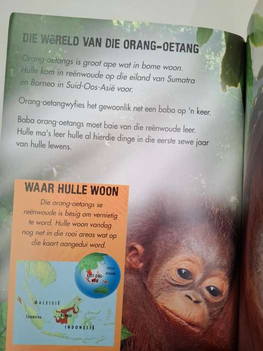 Orang-Oetangs in Gevaar  (Paperback)