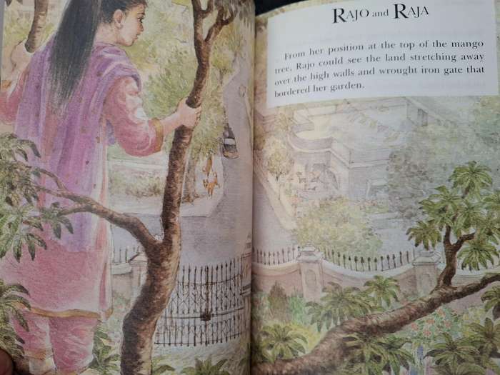 Rajo and Raja by Lisa Dass  (Paperback)