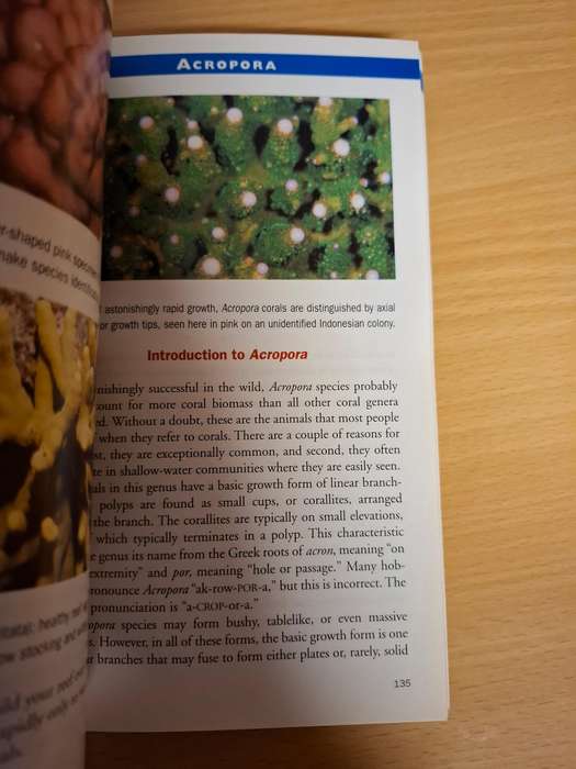 Marine Invertebrates - 500 + Essential-to-know Aquarium Species : Ronald L. Shimek, PH.D.