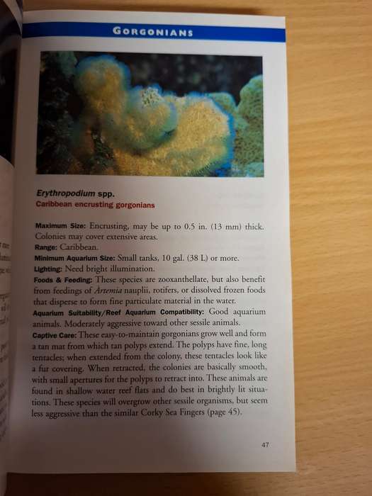 Marine Invertebrates - 500 + Essential-to-know Aquarium Species : Ronald L. Shimek, PH.D.