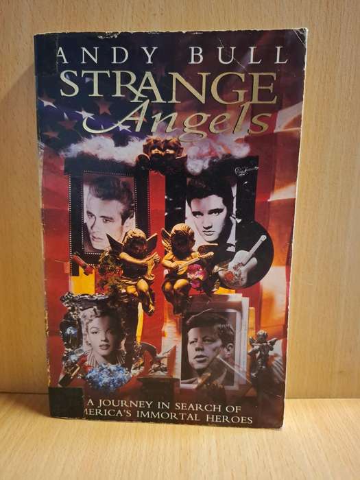Strange Angels - A Journey in Search of America`s Immortal Heroes : Andy Bull (Paperback)