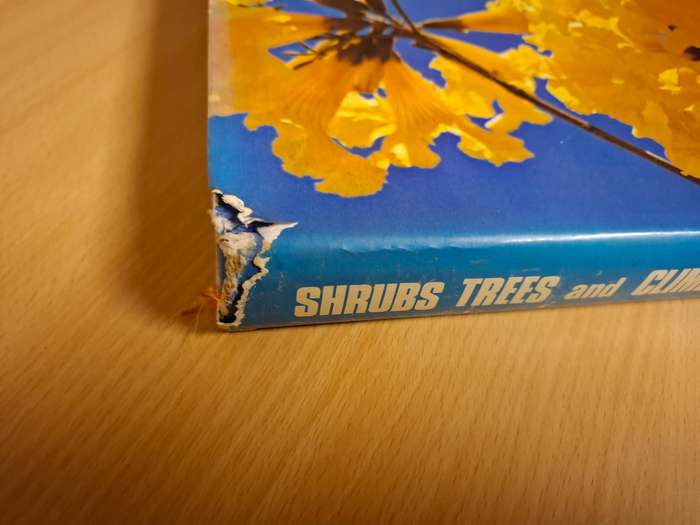 Shrubs, Trees and Climbers : Sima Eliovson  (Hardcover)