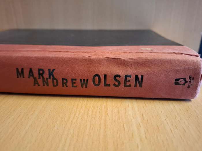 The Warrior : Mark Andrew Olsen (Hardcover)