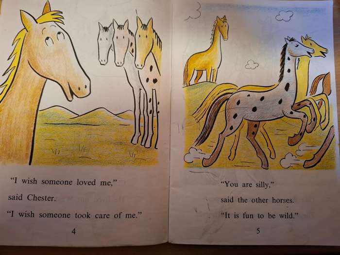 Chester : Syd Hoff  (Paperback)  AN I CAN READ BOOK