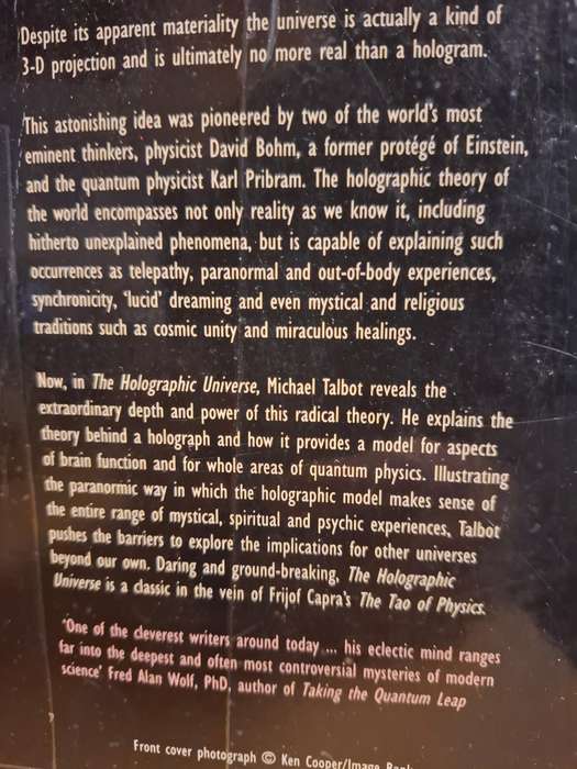 The Holographic Universe : Michael Talbot  (Paperback)