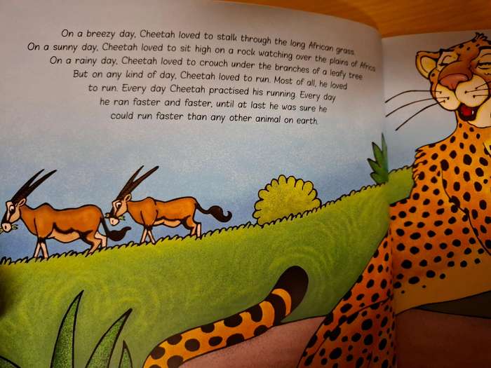 How Cheetah Got His Tears : Avril van der Merwe (Paperback)