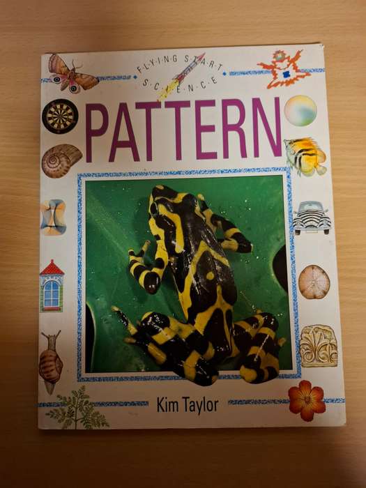 Flying Start Science - Pattern : Kim Taylor  (Paperback)