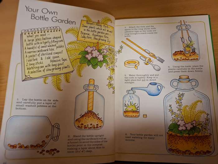 Craft Ideas From Nature : Myrna Daitz & Shirley Williams  (Hardcover)