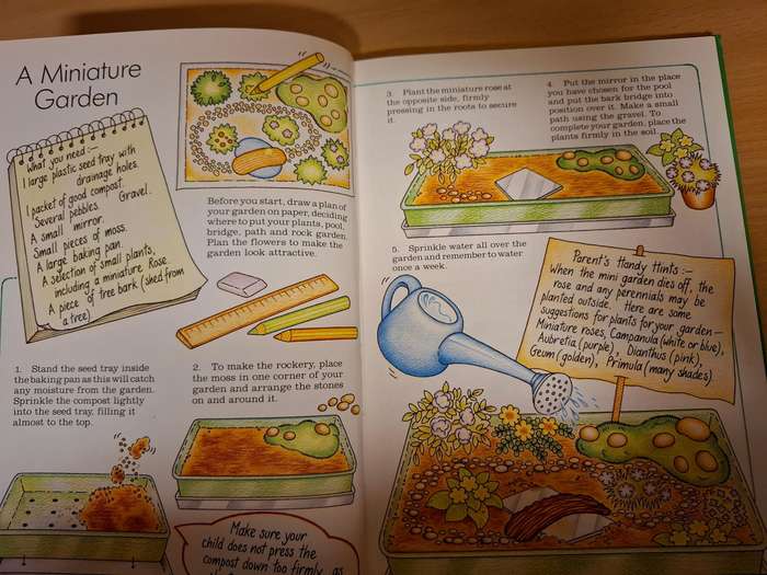 Craft Ideas From Nature : Myrna Daitz & Shirley Williams  (Hardcover)