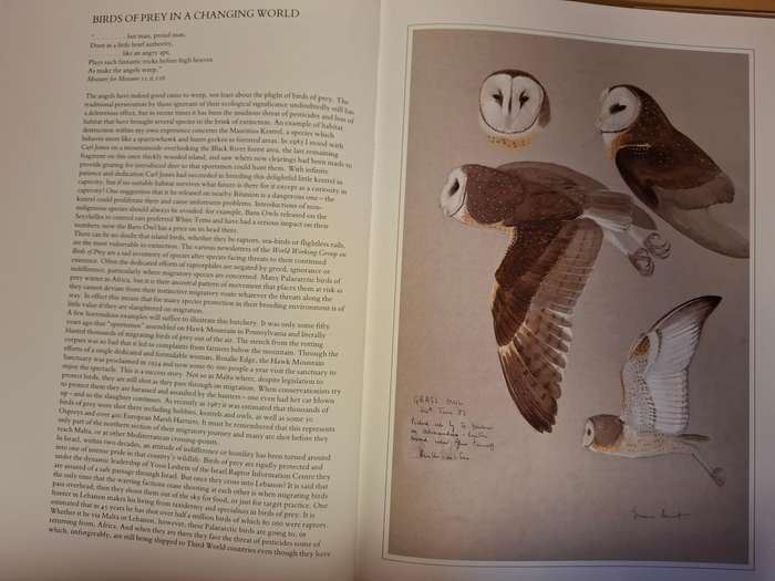Hunters of The African Sky : Peter Steyn, Graeme Arnott   (Hardcover)