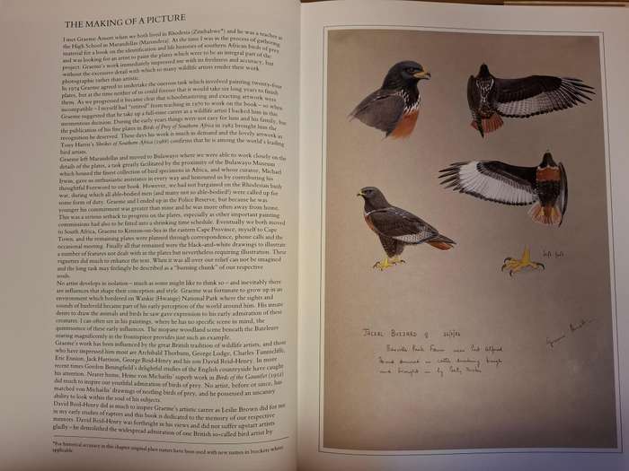 Hunters of The African Sky : Peter Steyn, Graeme Arnott   (Hardcover)