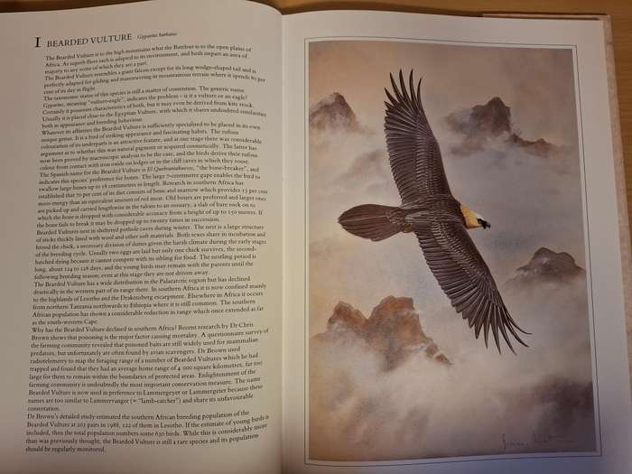 Hunters of The African Sky : Peter Steyn, Graeme Arnott   (Hardcover)