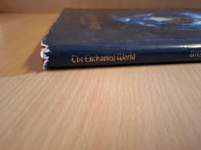 The Enchanted World of Wizards and Witches  (Hardcover)