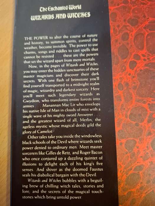 The Enchanted World of Wizards and Witches  (Hardcover)