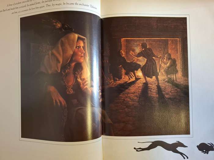 The Enchanted World of Wizards and Witches  (Hardcover)