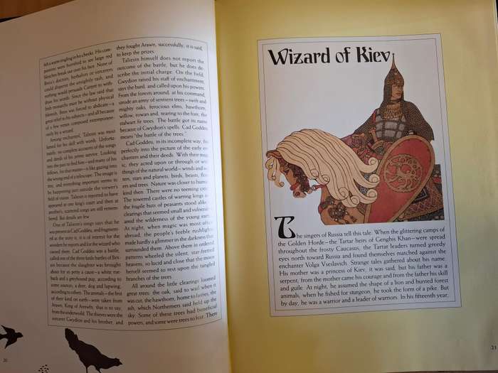The Enchanted World of Wizards and Witches  (Hardcover)