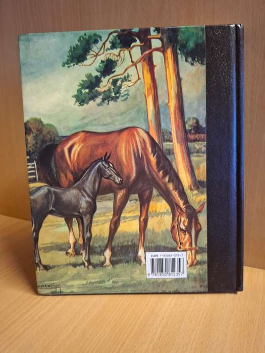 Illustrated Classics - Black Beauty - The Autobiography of a Horse by Anna Sewell  (Hardcover)