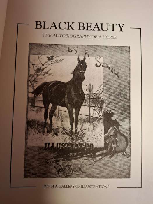 Illustrated Classics - Black Beauty - The Autobiography of a Horse by Anna Sewell  (Hardcover)