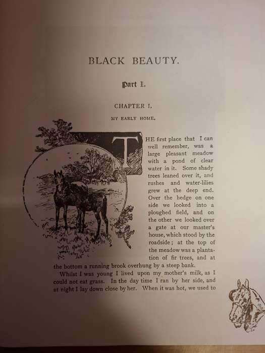 Illustrated Classics - Black Beauty - The Autobiography of a Horse by Anna Sewell  (Hardcover)