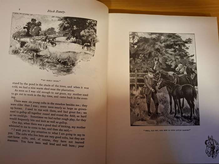 Illustrated Classics - Black Beauty - The Autobiography of a Horse by Anna Sewell  (Hardcover)