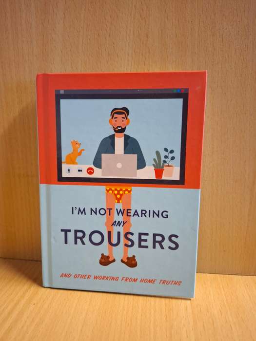 I`m Not Wearing Any Trousers And Other Working From Home Truths  (Hardcover)