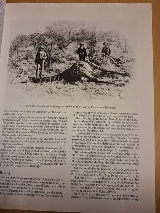 Bushveld Country - The Dramatic Eastern Transvaal : David Steele (Paperback)