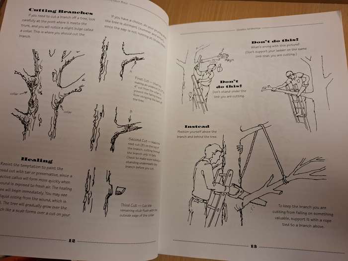 Tree Houses - You can actually build : David & Jeanie Stiles  (Paperback)