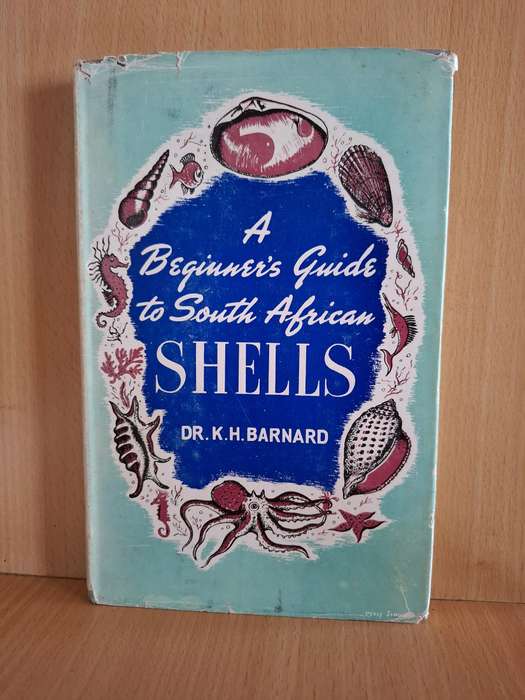 A Beginner`s Guide to South African Shells : Dr. K.H. Barnard  (Hardcover)