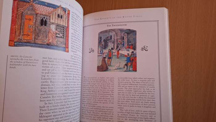 Chronicles of King Arthur : Andrea Hopkins  (Paperback)