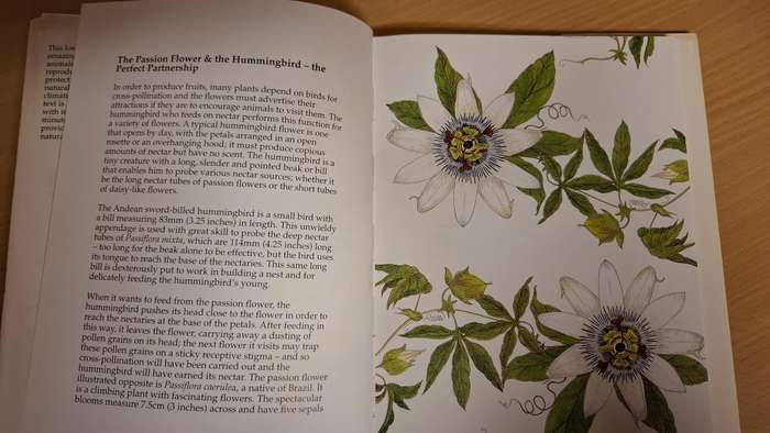 Nature`s Secret: Mari Friend (Hardcover)