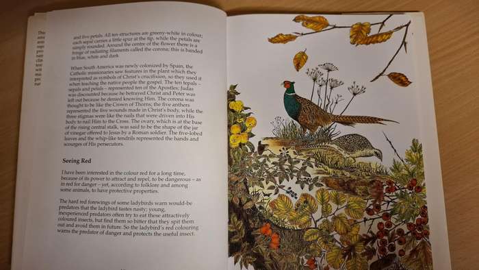 Nature`s Secret: Mari Friend (Hardcover)