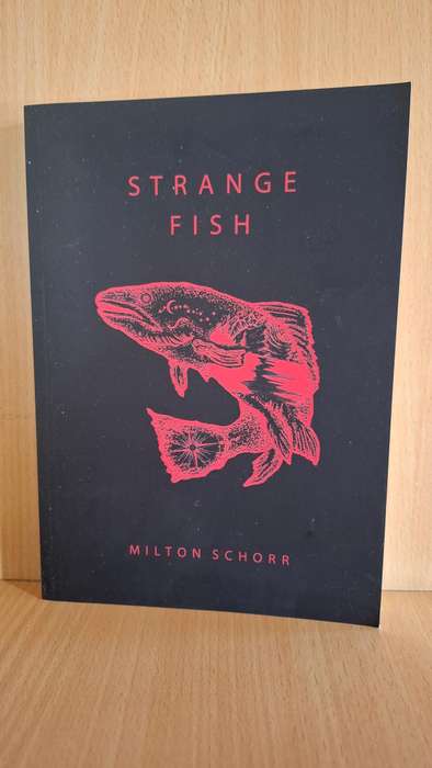 Strange Fish : Milton Schorr (Paperback)