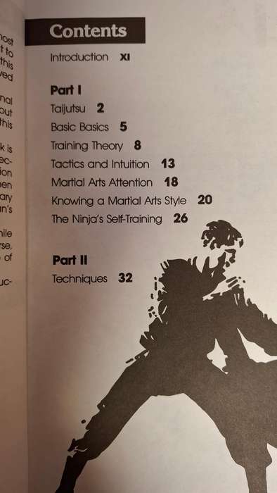 Taijutsu - The Authentic Techniques of Grandmaster Masaaki Hatsumi```s Bujinkan Ninjutsu School
