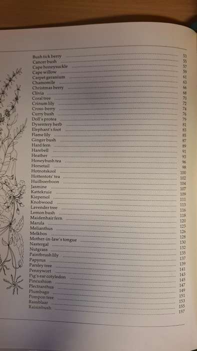 Indigenous Healing Plants : Margaret Roberts  (Hardcover)