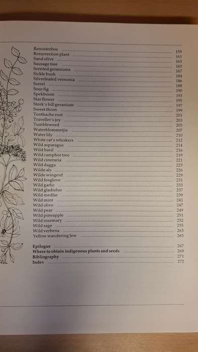 Indigenous Healing Plants : Margaret Roberts  (Hardcover)