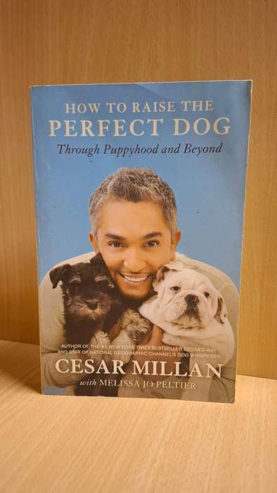 How to Raise the Perfect Dog: Cesar Millan  (Paperback)